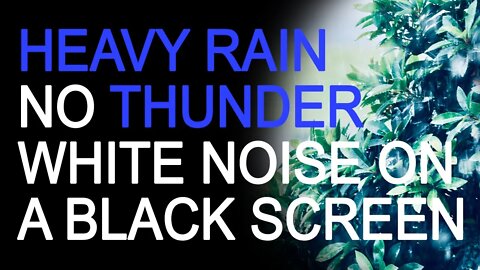 Heavy Night Rain | No Thunder | 10 Hours White Noise on a Black Screen
