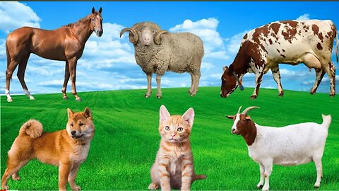 Farm Animal Characteristics - Dogs, Cats, Cows, Sheep, Goats, Horses