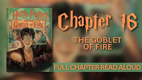 Harry Potter and the Goblet of Fire | Chapter 16: The Goblet of Fire