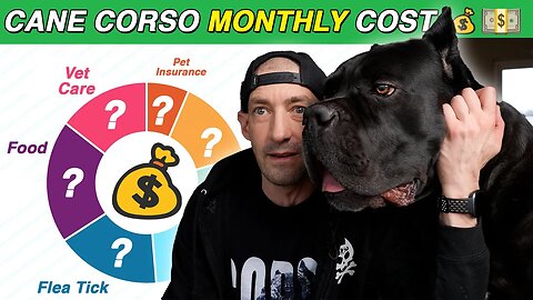 Monthly COST To Own a Cane Corso #canecorso #dog