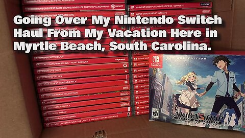 Vacation Adventure: My Insane Nintendo Switch Haul Revealed