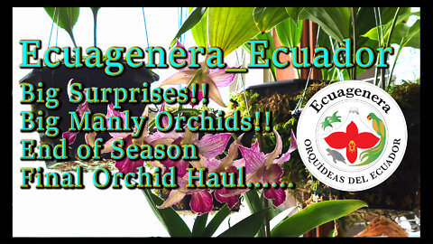 Amazing Orchid Haul 2.0!! // Un-Boxing Video from Ecuagenera_Ecuador