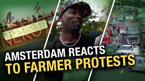 Amsterdam reacts: What do locals in the capital city think about the Dutch farmer protests?