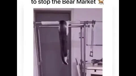 Bitcoiners Training Program to Stop the Bear Market