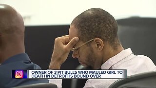 Owner of three pit bulls who mauled girl to death bound over for trial