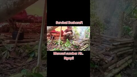 Survival #asmr #bushcraft #survival #outdoors #forest #camping #shorts