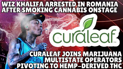 Wiz Khalifa Arrested for Smoking Marijuana During Concert, Senate Pushes for Medical MJ in the VA
