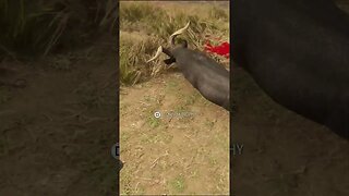 RARE! BLACK 🐐 Feral Goat From Emerald Coast Australia - theHunter: Call of the Wild #shorts