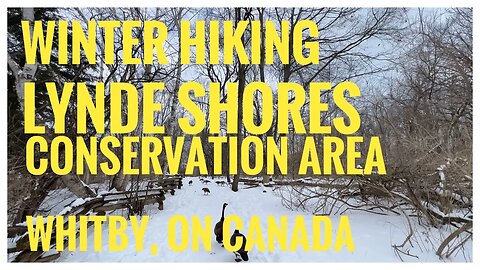 Lynde Shores Conservation Area | Snow-covered Trails | Bird Watching | Whitby, ON 🇨🇦| Hikingvlog