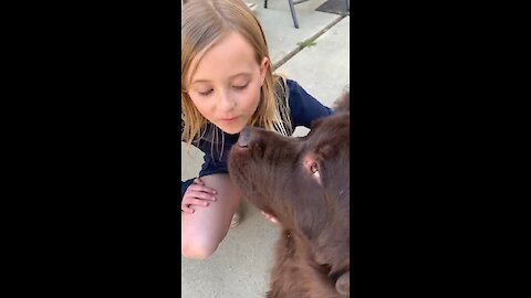 Watch tis little girl voraciously defends dog... again!