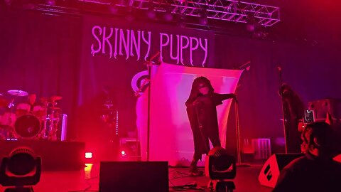 Skinny Puppy in Houston song Love in Vein
