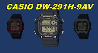 Casio DW291H-9AV Overview 06.02.21