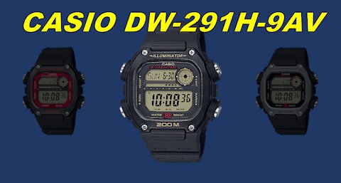 Casio DW291H-9AV Overview 06.02.21