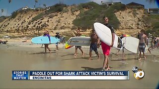 Paddle out for shark attack victim's survival