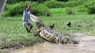 Feed the Crocs in Costa Rica