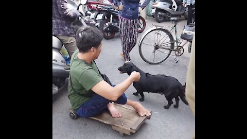 The Dog helps to sell lottery tickets