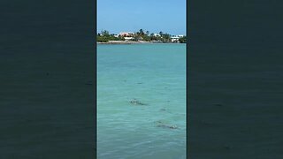 Sombrero Beach, Florida Keys