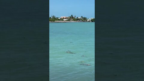 Sombrero Beach, Florida Keys