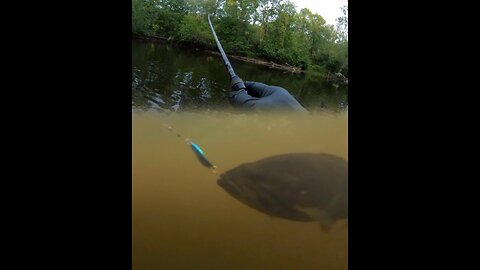 Big bass caught on video underwater!