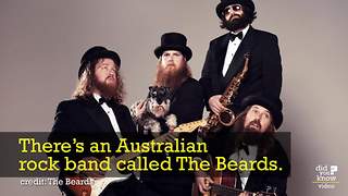 There's A Band Called 'The Beards' And Their Songs About Beards Is Hilarious
