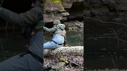 TROUT FISHING SMALL CREEK! #shorts #fishing #flyfishing