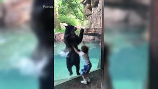 Video shows bear, 5-year-old jumping together
