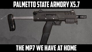 Palmetto State Armory's MP7 - the X57