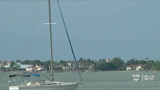 Child dies after boat crash during youth sailing practice in Sarasota, officials say