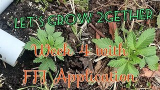 Let's Grow 2Gether Week 4