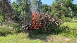 Update on land clearing and burning