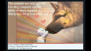 The animals are very special, make us happier and give love! [Poetry] [Quotes and Poems]