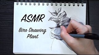 ASMR Quietly Sketching Next to You (No Talking) | Biro Drawing Plant