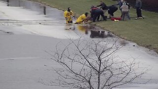 Watch: Avon police and fire rescue dog trapped in icy pond
