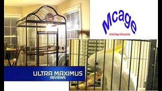 🔥Mcage 63 Inch Parrot Cage Unboxing & Assembly