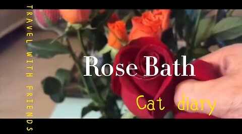 Don't cats like rose baths?