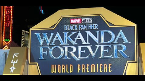 Black Panther Wakanda Forever World Premiere - from RACE HUSTLE to DEATH HUSTLE + More Bad CGI?