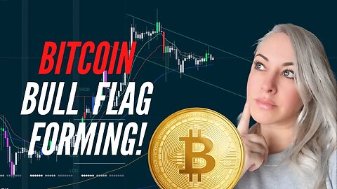 Will This BITCOIN Bull Flag Play Out? | Is It Time to Invest in ALTCOINS?