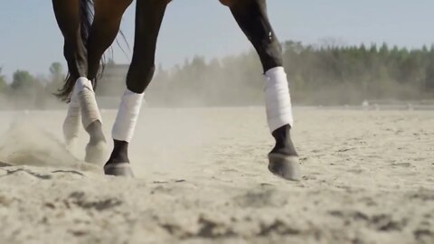 Equestrian slow motion hoofs in sand sport athlete