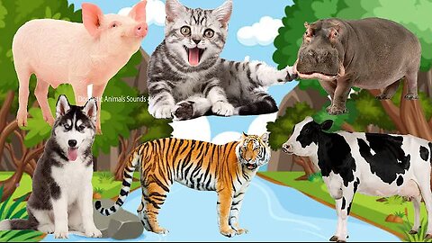 Funny animals, animal sounds: Cow, Tiger, Dog, Cat, Hippo, Pig, Fish, Otter, Buffalo