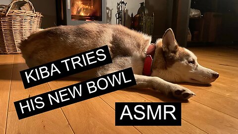 Kiba Tries His New Bowl ASMR