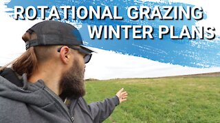 Why Do We Rotationally Graze Our Animals? Winter Is Coming | Moving Sheep, Chickens, and Ducks.