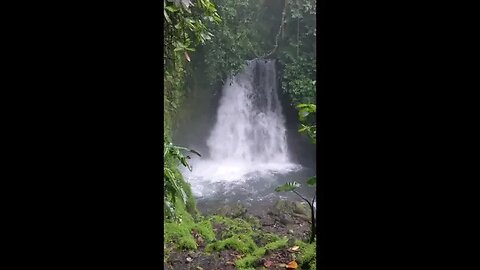 Arenal Observatory Lodge Waterfall Hike