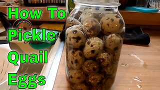 How I Made Pickled Quail Eggs