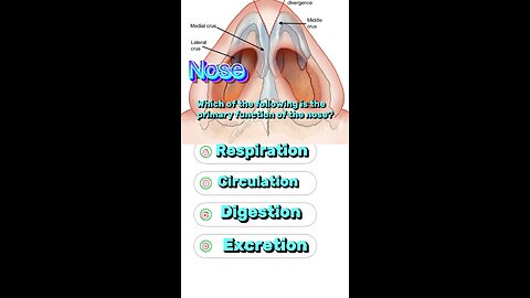 Question answer Of Nose 👃🥸😤 #nosemcqs #anatomyofnose #fuctionnose #smell #respiration #flue