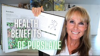 The Health Benefits of Purslane