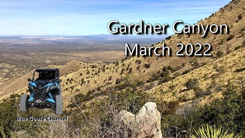 Gardner Canyon March 2022 + No Good Deed Goes Unpunished!