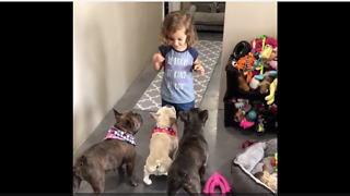 Little Girl Is Mini Dog Whisperer To Her Three Dogs