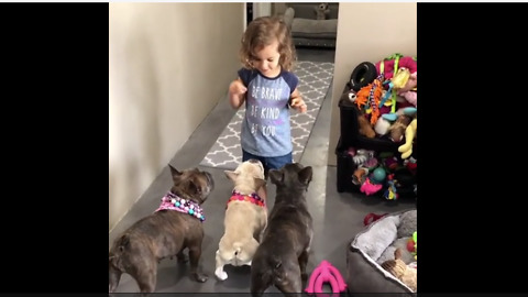 Little Girl Is Mini Dog Whisperer To Her Three Dogs