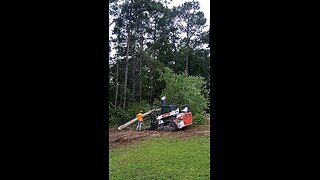 Cutting up another tree that we are having removed.