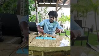 How to Clean a Big Florida Lobster